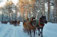 CZARNY POTOK отель Resort SPA в Польше Крыница горы Бескиды отдых